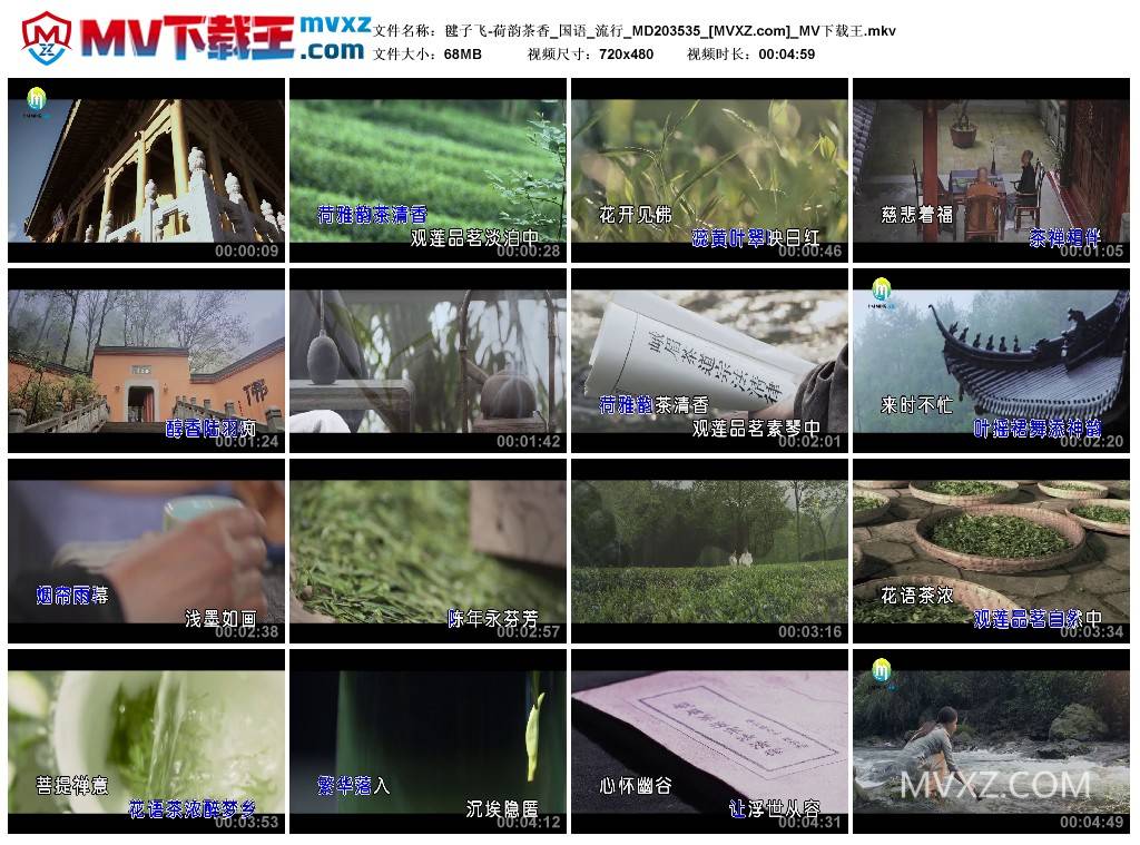 毽子飞-荷韵茶香_国语_流行_MD203535